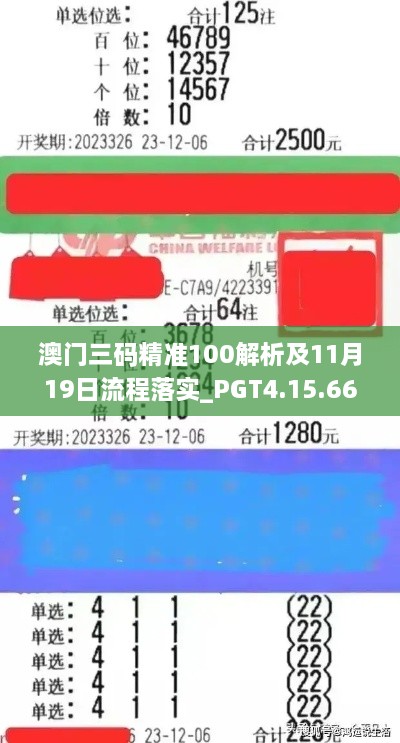 澳门三码精准100解析及11月19日流程落实_PGT4.15.66计算机版