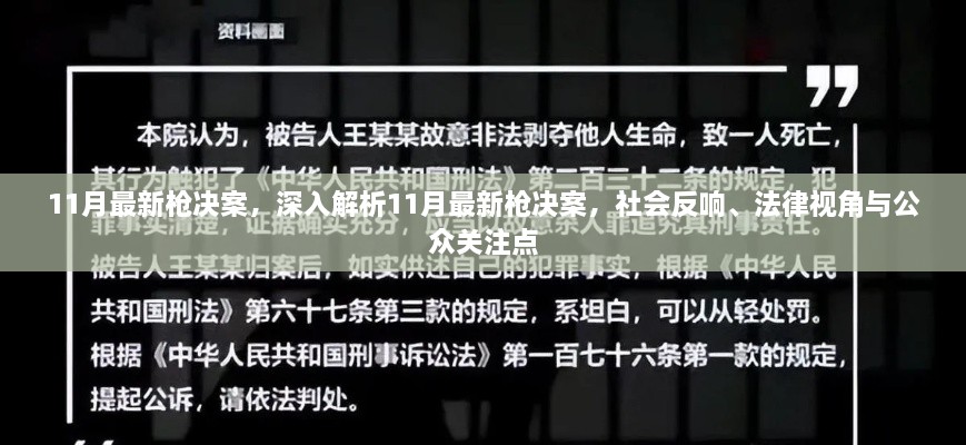 深度解析，11月枪决案的社会反响、法律视角与公众关注点