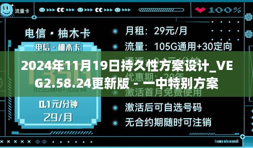 2024年11月19日持久性方案设计_VEG2.58.24更新版 - 一中特别方案