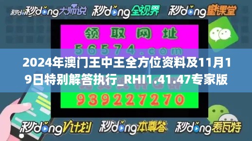 2024年澳门王中王全方位资料及11月19日特别解答执行_RHI1.41.47专家版