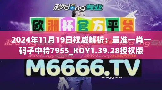 2024年11月19日权威解析：最准一肖一码子中特7955_KOY1.39.28授权版