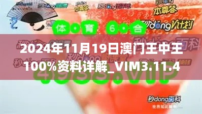 2024年11月19日澳门王中王100%资料详解_VIM3.11.42版