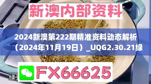 2024新澳第222期精准资料动态解析（2024年11月19日）_UQG2.30.21绿色版