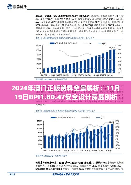 2024年澳门正版资料全景解析：11月19日BPI1.80.47安全设计深度剖析