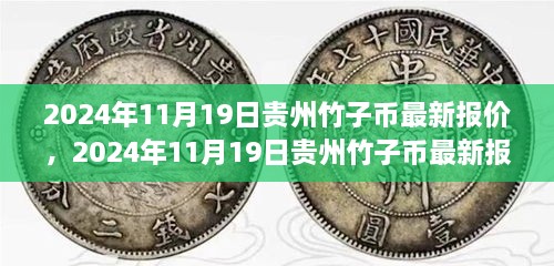 2024年11月19日贵州竹子币最新报价与市场深度解析