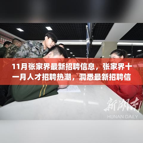 张家界十一月人才招聘热潮揭秘，最新招聘信息及其深层影响