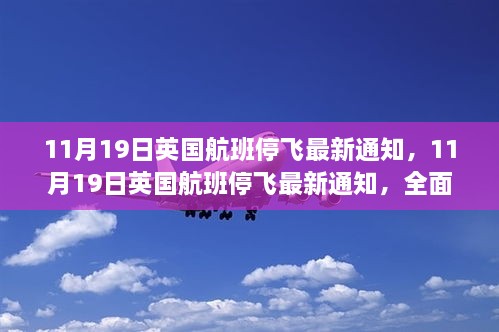 英国航班停飞最新通知全面评测与详解，11月19日航班停飞信息介绍