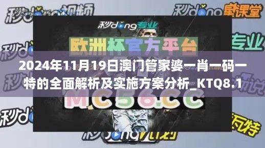 2024年11月19日澳门管家婆一肖一码一特的全面解析及实施方案分析_KTQ8.18.32界面版