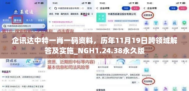 企讯达中特一肖一码资料，历年11月19日跨领域解答及实施_NGH1.24.38永久版