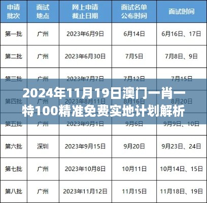 2024年11月19日澳门一肖一特100精准免费实地计划解析_XVE3.17.40优先版