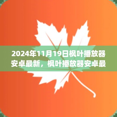 枫叶播放器安卓最新版深度评测介绍与最新更新资讯