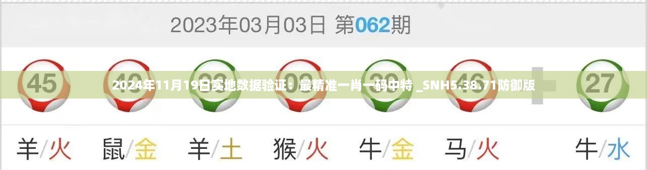 2024年11月19日实地数据验证：最精准一肖一码中特 _SNH5.38.71防御版