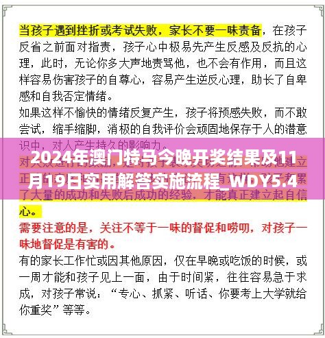 2024年澳门特马今晚开奖结果及11月19日实用解答实施流程_WDY5.43.25探索版