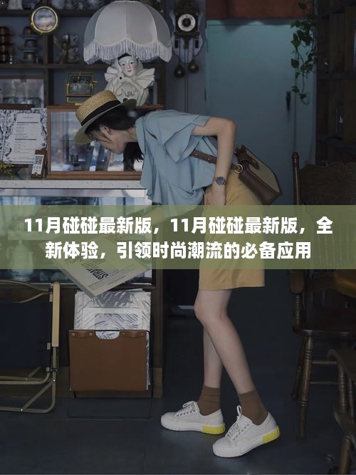 11月碰碰最新版，全新体验，时尚必备应用