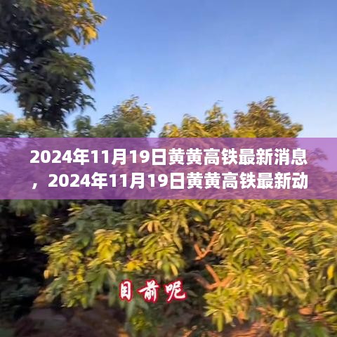 黄黄高铁最新进展与挑战解读，全方位解读最新动态消息（日期标注）