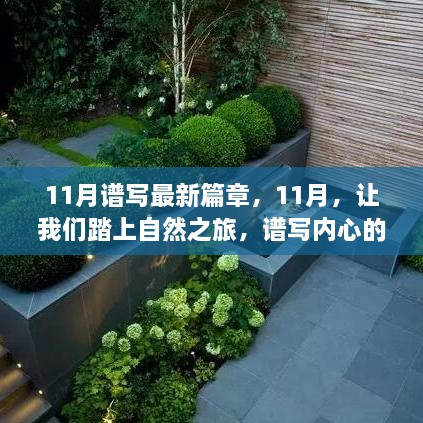 11月自然之旅，谱写宁静篇章，探索最新篇章