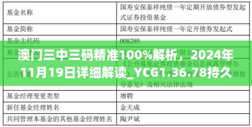 澳门三中三码精准100%解析，2024年11月19日详细解读_YCG1.36.78持久版