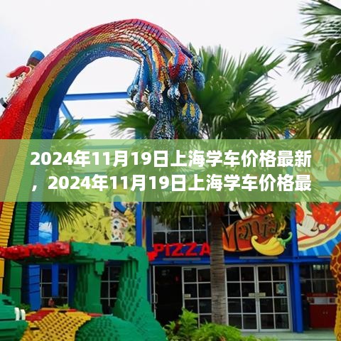 2024年11月上海学车价格最新动态及市场趋势预测