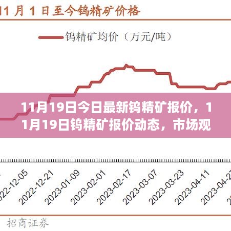 11月19日钨精矿最新报价及市场动态深度解析