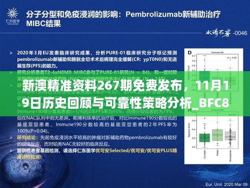 新澳精准资料267期免费发布，11月19日历史回顾与可靠性策略分析_BFC8.66.92便签版