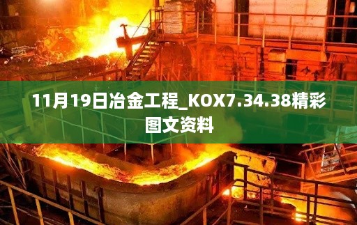 11月19日冶金工程_KOX7.34.38精彩图文资料