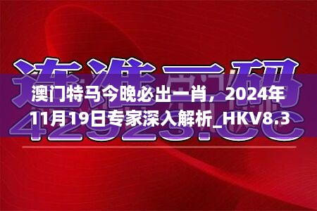 澳门特马今晚必出一肖，2024年11月19日专家深入解析_HKV8.34.56生活版