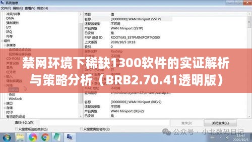 禁网环境下稀缺1300软件的实证解析与策略分析（BRB2.70.41透明版）