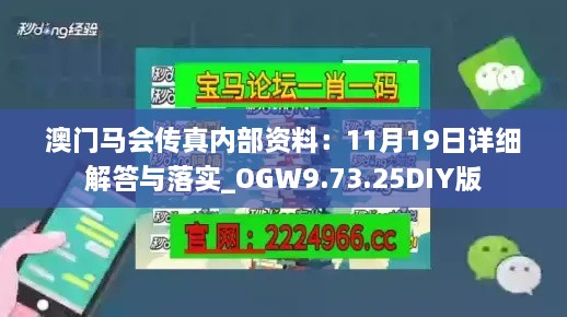 澳门马会传真内部资料：11月19日详细解答与落实_OGW9.73.25DIY版