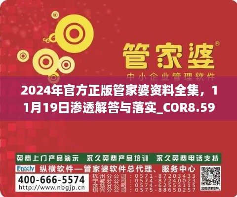 2024年官方正版管家婆资料全集，11月19日渗透解答与落实_COR8.59.70幻想版