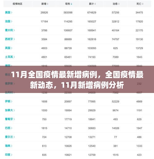 11月全国疫情最新动态，新增病例分析与实时数据更新