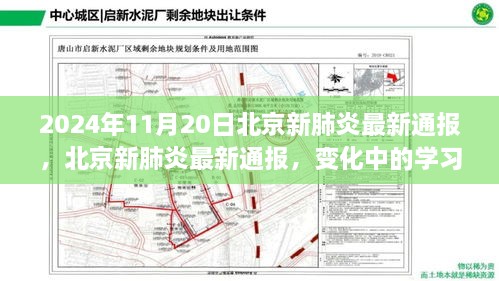 北京新肺炎最新动态，学习变革与信心成就感的源泉（2024年11月20日）