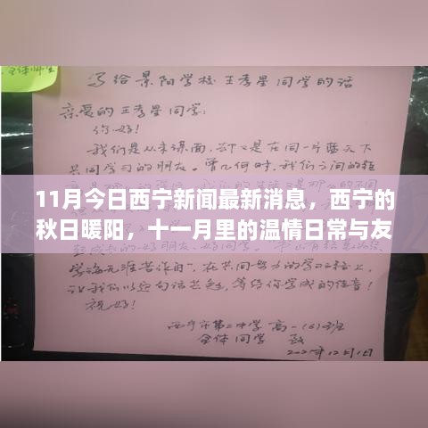 西宁秋日暖阳下的温情日常与友情故事，最新十一月新闻回顾