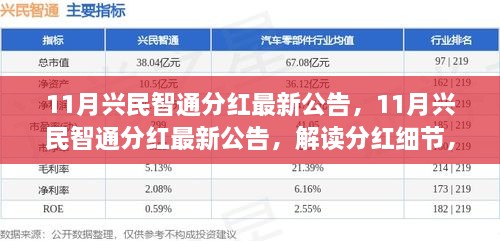 2024年11月20日 第13页