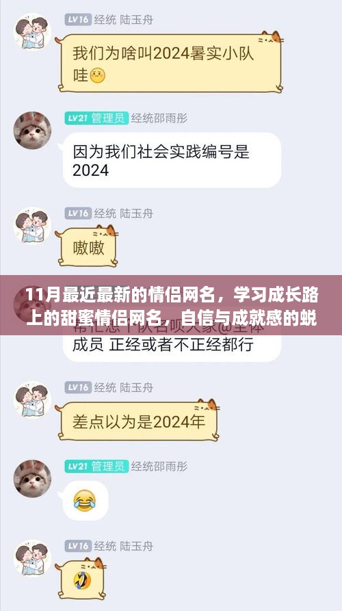 11月情侣网名精选，学习成长路上的甜蜜蜕变之旅