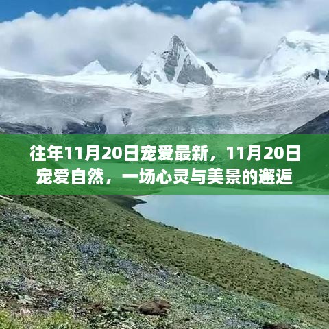 11月20日宠爱日，心灵与美景的浪漫邂逅