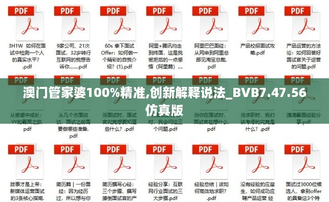 澳门管家婆100%精准,创新解释说法_BVB7.47.56仿真版