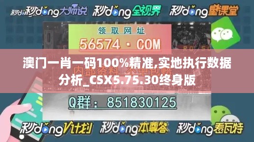 澳门一肖一码100%精准,实地执行数据分析_CSX5.75.30终身版