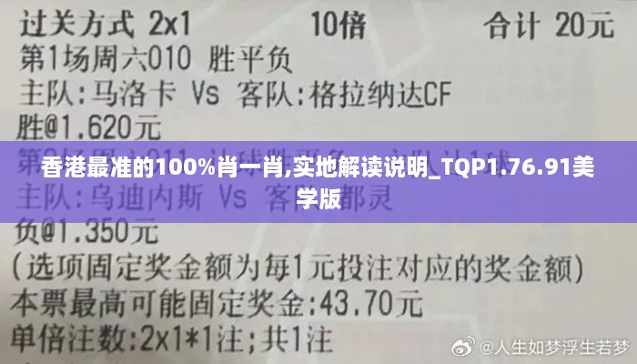 香港最准的100%肖一肖,实地解读说明_TQP1.76.91美学版