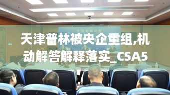 天津普林被央企重组,机动解答解释落实_CSA5.45.80活动版