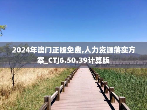 2024年澳门正版免费,人力资源落实方案_CTJ6.50.39计算版