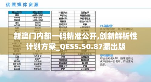 新澳门内部一码精准公开,创新解析性计划方案_QES5.50.87漏出版