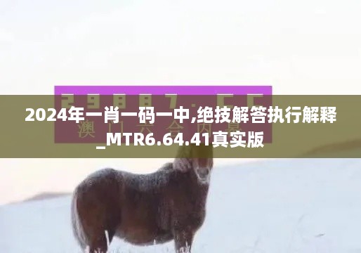 2024年一肖一码一中,绝技解答执行解释_MTR6.64.41真实版