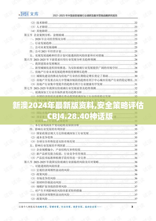 新澳2024年最新版资料,安全策略评估_CBJ4.28.40神话版