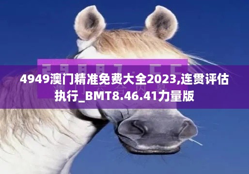 4949澳门精准免费大全2023,连贯评估执行_BMT8.46.41力量版