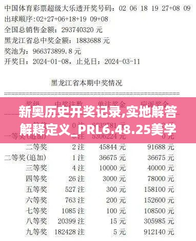 新奥历史开奖记录,实地解答解释定义_PRL6.48.25美学版