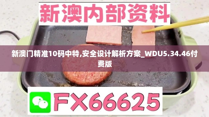 新澳门精准10码中特,安全设计解析方案_WDU5.34.46付费版