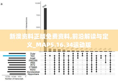 新澳资料正版免费资料,前沿解读与定义_MAP5.16.34运动版