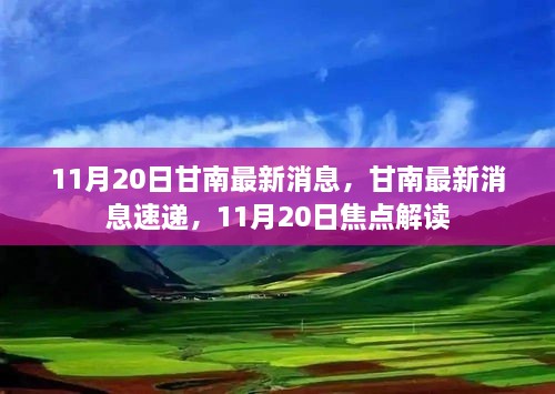 甘南最新消息聚焦，11月20日焦点解读