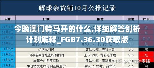 今晚澳门特马开的什么,详细解答剖析计划解释_FGB7.36.30获取版