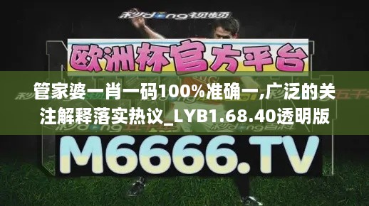 管家婆一肖一码100%准确一,广泛的关注解释落实热议_LYB1.68.40透明版